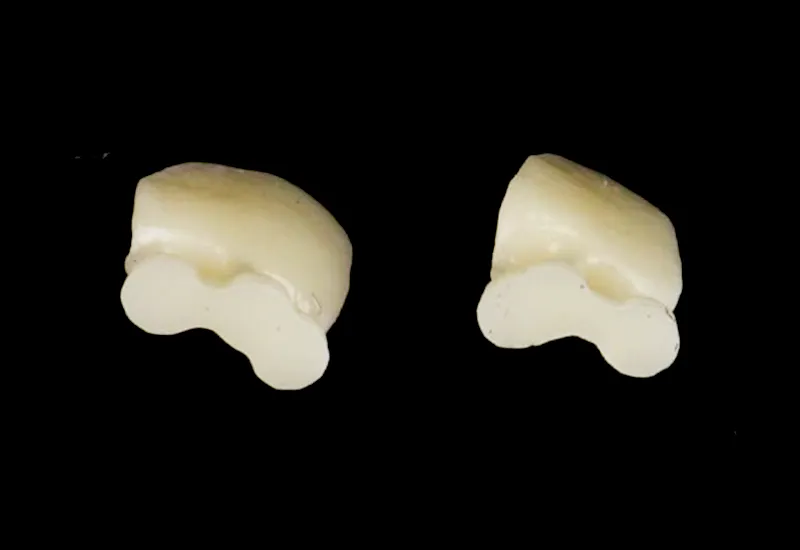 3D Printed Hybrid Ceramics 3D Printed Hybrid Ceramics